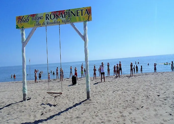 Modern With Two Balconies Apartment